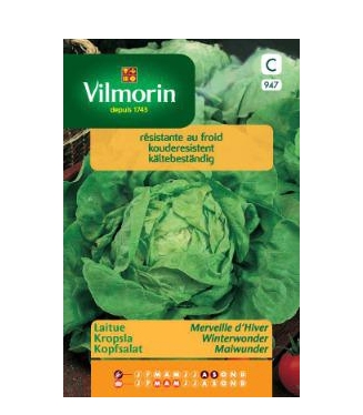 Vilmorin kropsla zaden Winterwonder