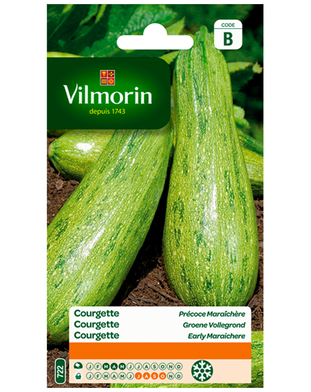 Vilmorin zaden Courgette Groene kleine van Algerije