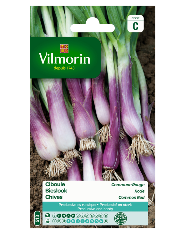 Vilmorin Zaden Bieslook Rode 