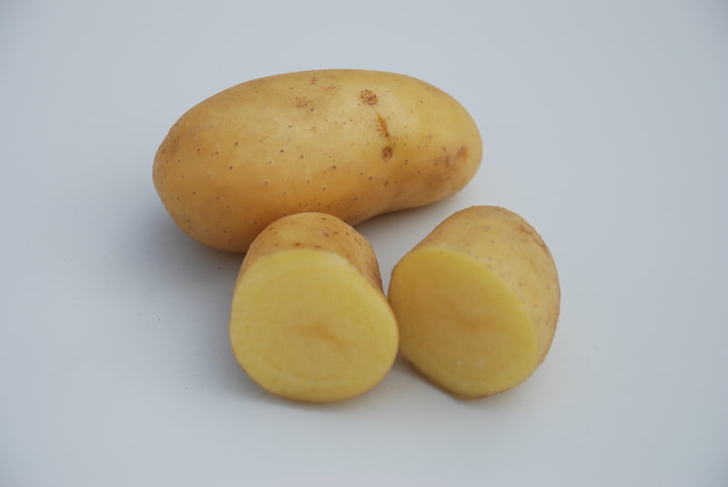 Pootaardappelen Charlotte 1,5 kg