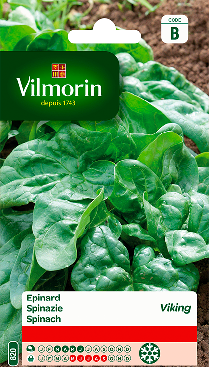 Vilmorin Zaden Spinazie Viking 15g