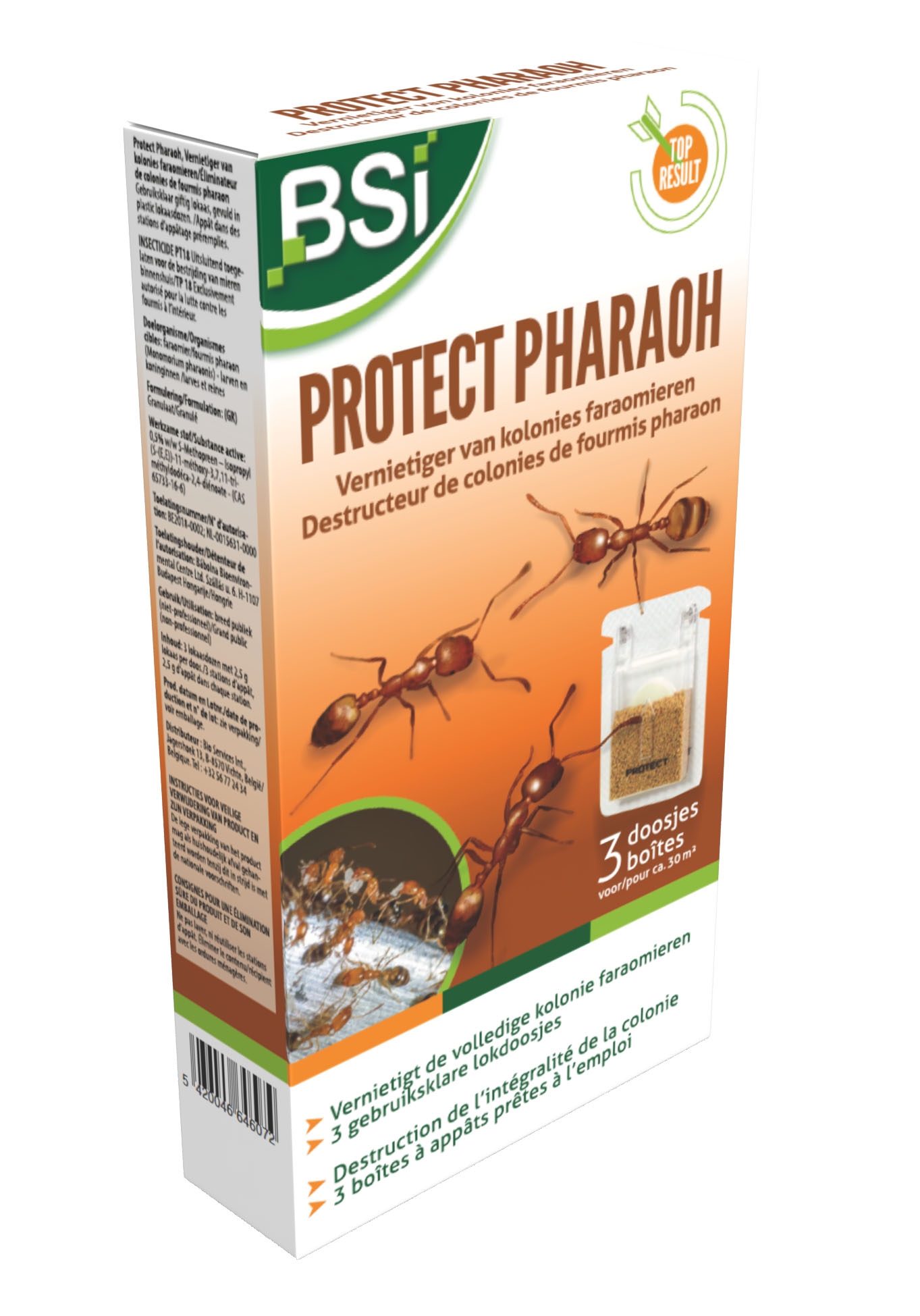 Faraomieren bestrijden in huis met BSI Protect Pharaoh 🐜