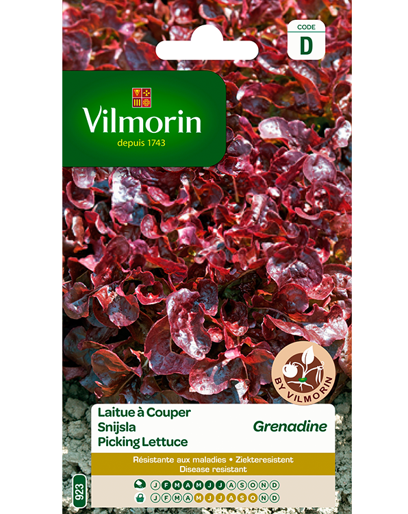 Vilmorin Snijsla zaden Gekrulde Grenadine 3g