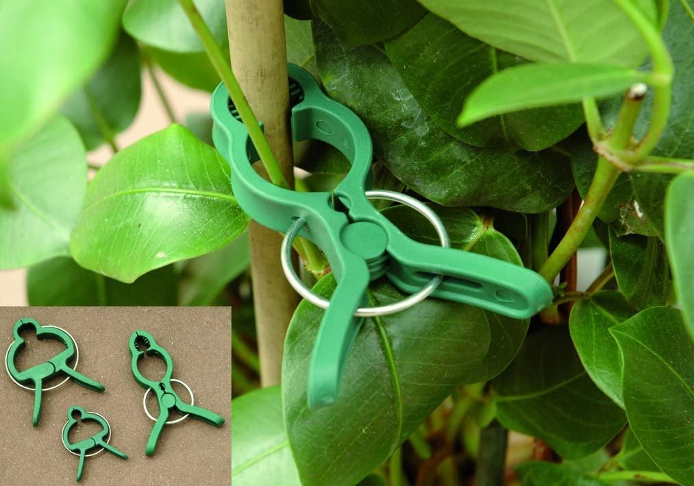 Plantenclips set 20st