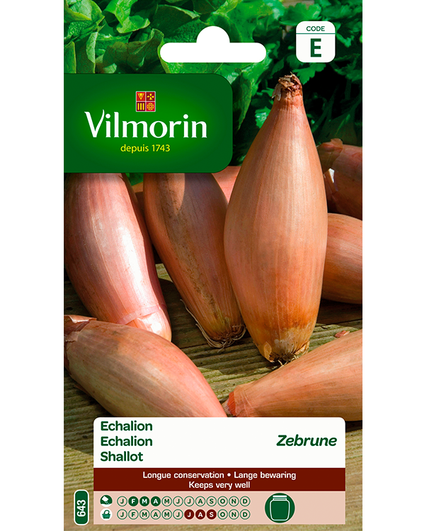 Vilmorin Zaden Echalion zebrune 2g