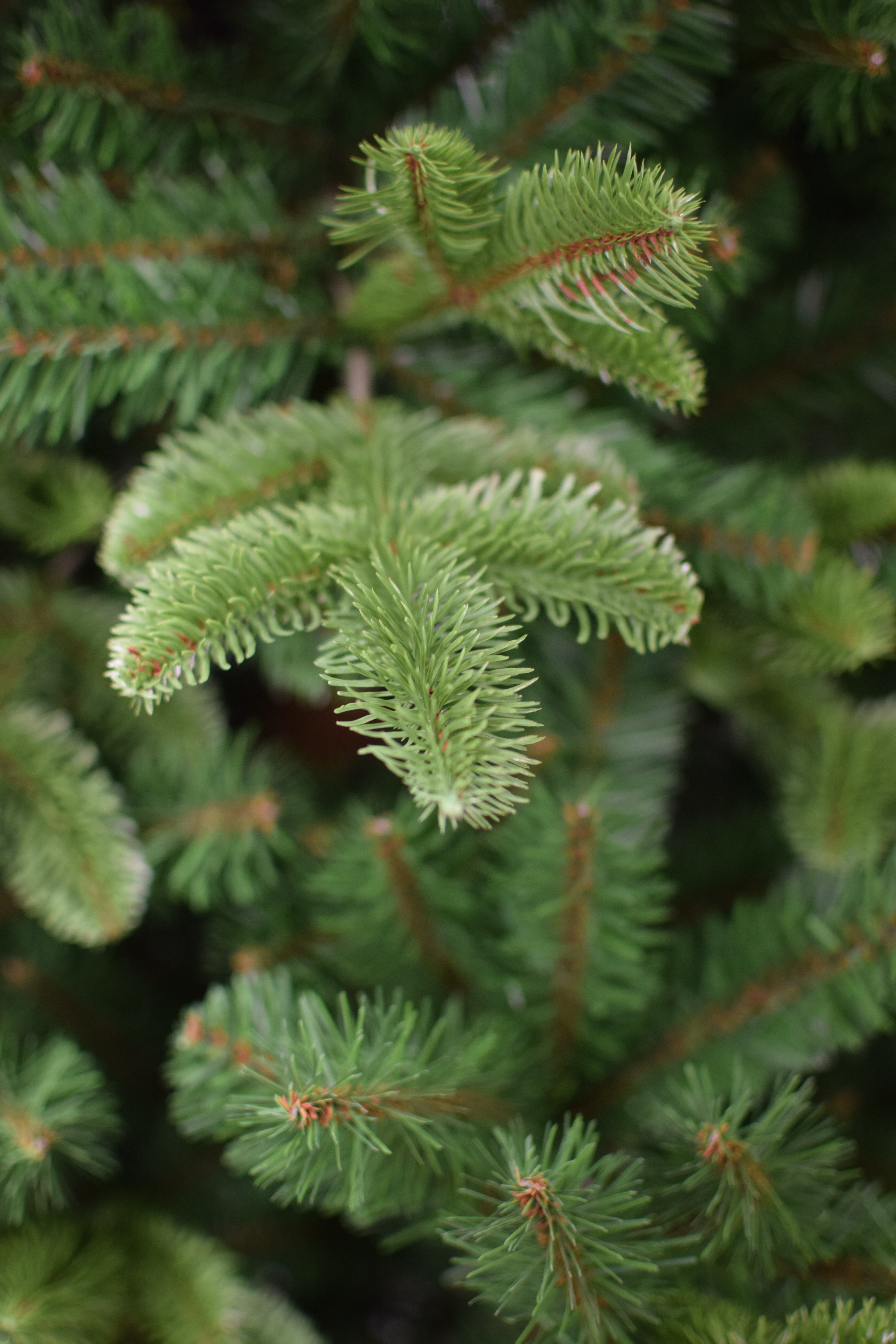 Slanke kunstkerstboom – Smalle kerstboom  (210 cm) | Aanbieding 