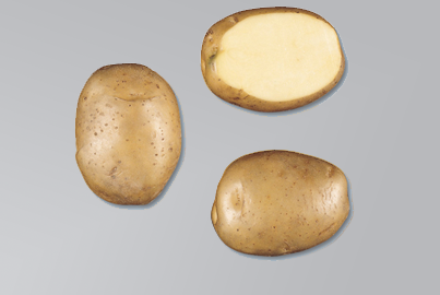 Pootaardappelen Frieslander 1Kg Pootaardappelen Frieslander 1Kg