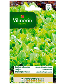 Vilmorin Snijsla zaden Gele Gewone 4g