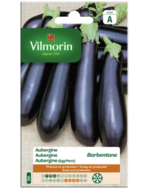 Vilmorin Aubergine zaden De Barbentane 3g