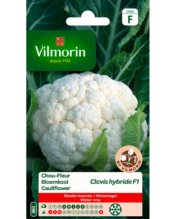Vilmorin Zaden Bloemkool Clovis 0,5g
