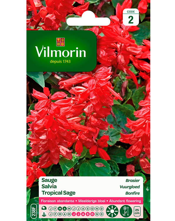 Bloemzaden Salvia Vuurgloed