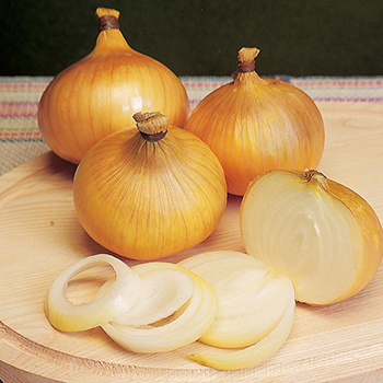 Plantajuin Centurion 500g
