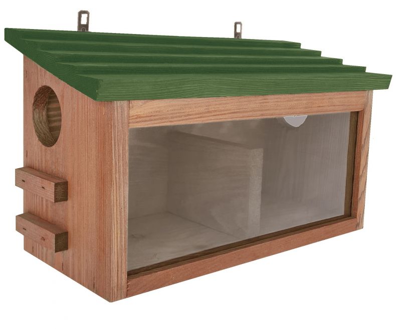 Eekhoornhuisje | 🐿️ Eekhoorns welkom!