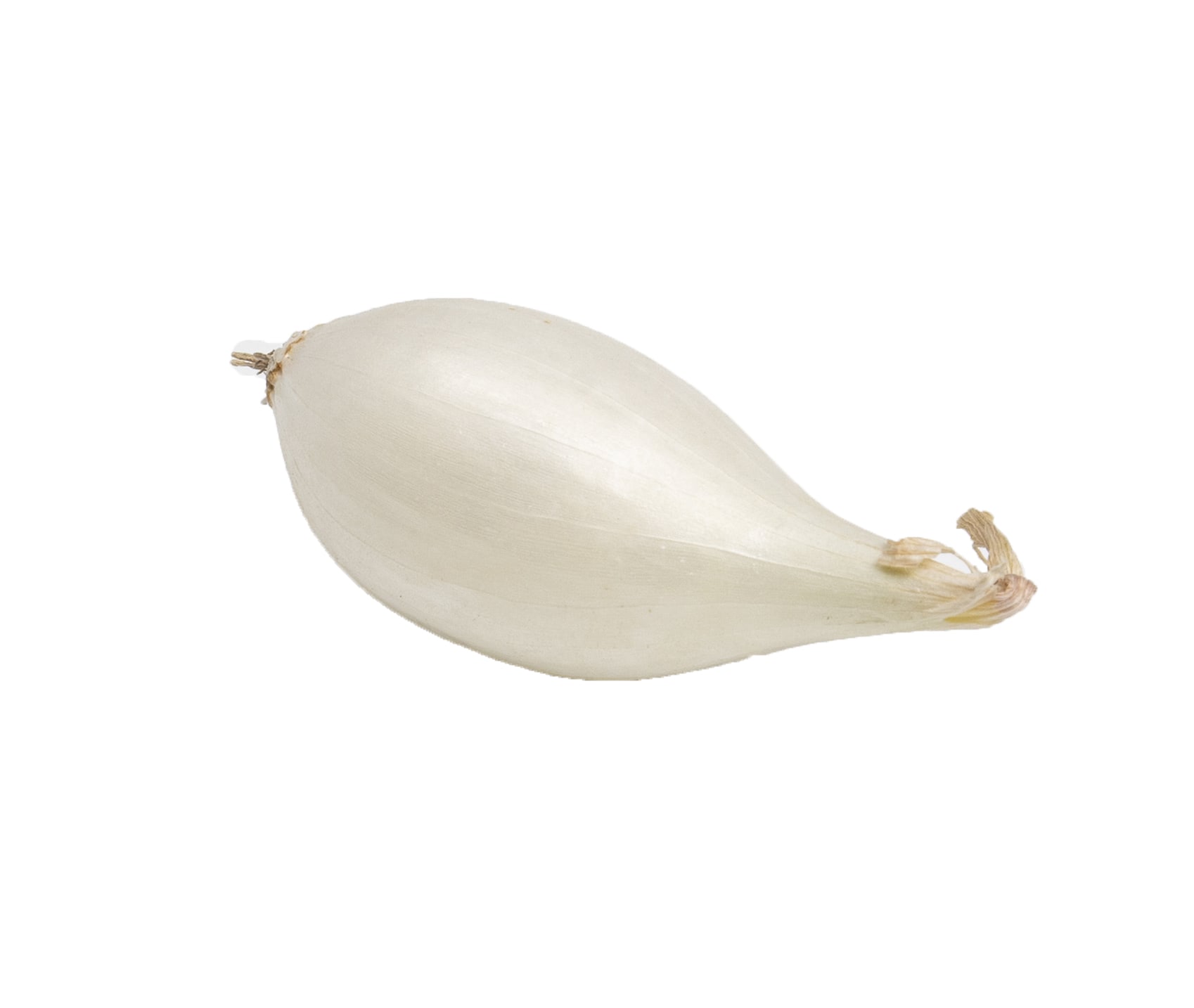 Witte plantajuin Snowball 250g