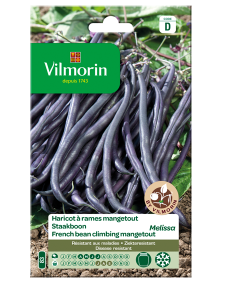 Vilmorin zaden Paarse prinsessenbonen Melissa 30g