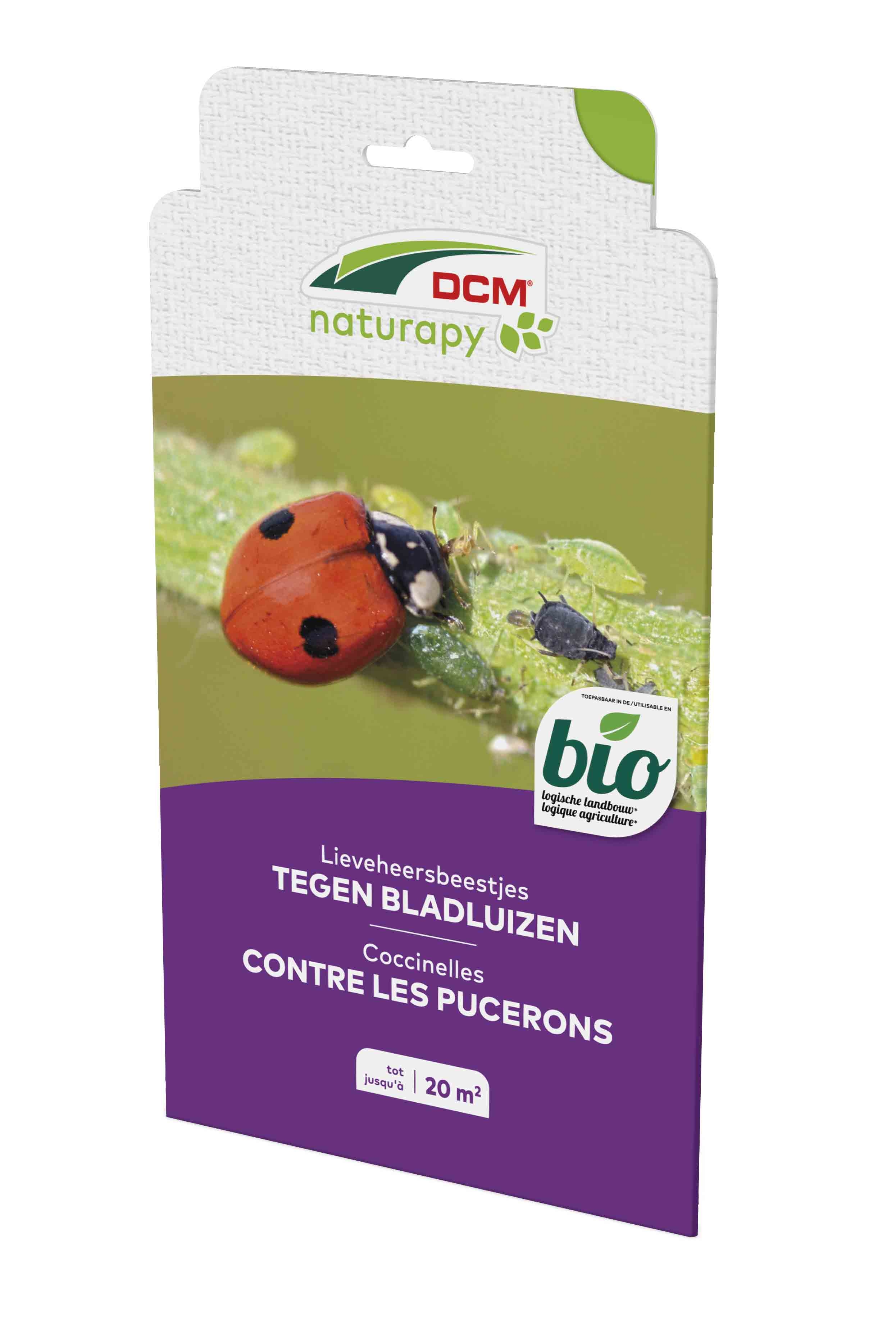 Lieveheersbeestjes tegen bladluizen DCM Naturapy 20m²