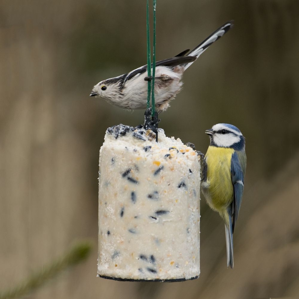 Vetblok voor vogels met zaden CJ Wildlife 500 ml