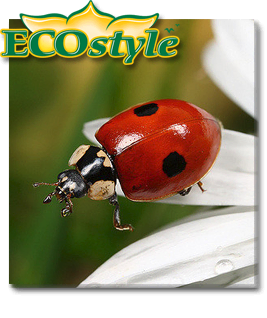 Ecostyle Lieveheersbeestjes larven 50 stuks