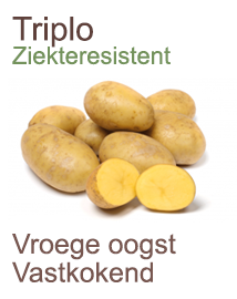 Pootaardappelen Triplo 1kg Pootaardappelen Triplo 1kg