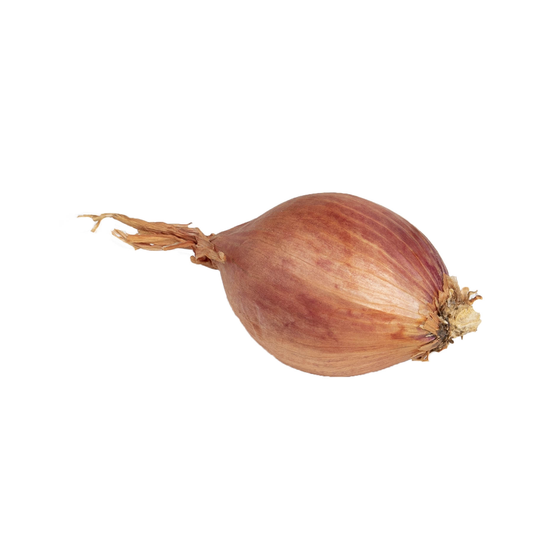 Sjalot Mikor 500g
