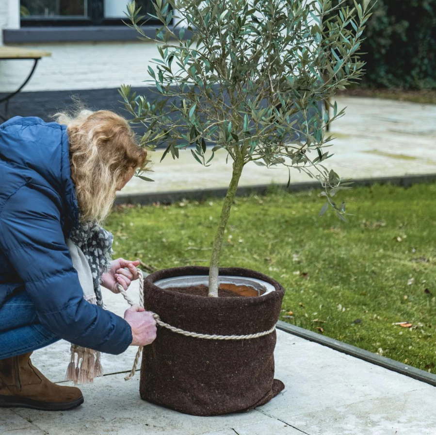 Schapenwol beschermingsmat (50cm x 150cm) donker bruin – optimale plantbescherming 🌱