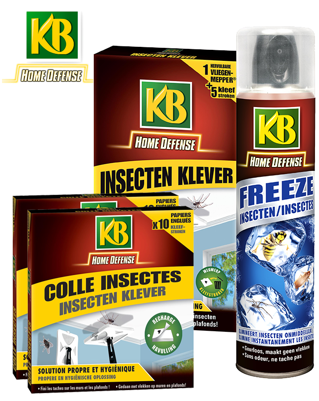 KB Insecten in huis bestrijden