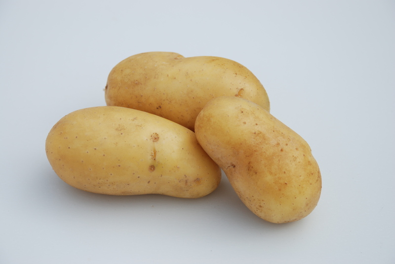 Pootaardappelen Charlotte 1,5 kg