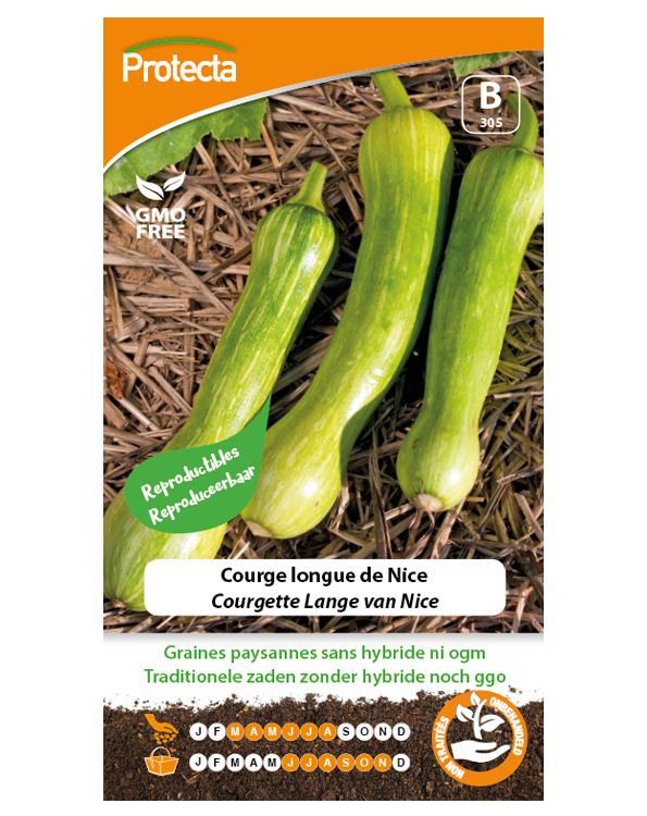 Zaadvast Courgette Zaden Lange van Nice