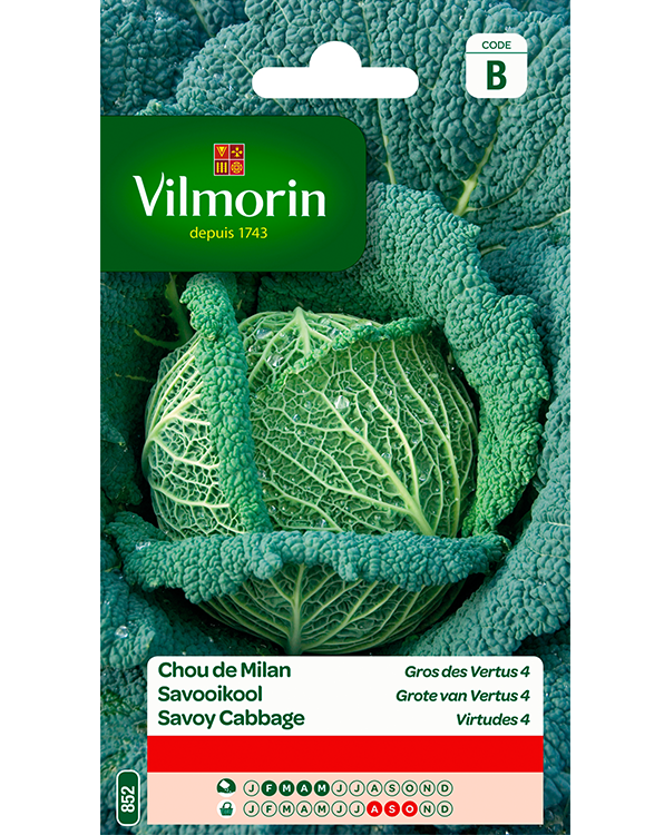Vilmorin Zaden Savooikool Grote Van Vertus 4 2g