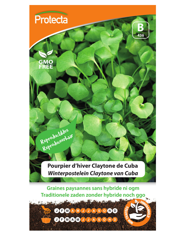 Zaadvast Claytone van Cuba Zaden, winterpostelein
