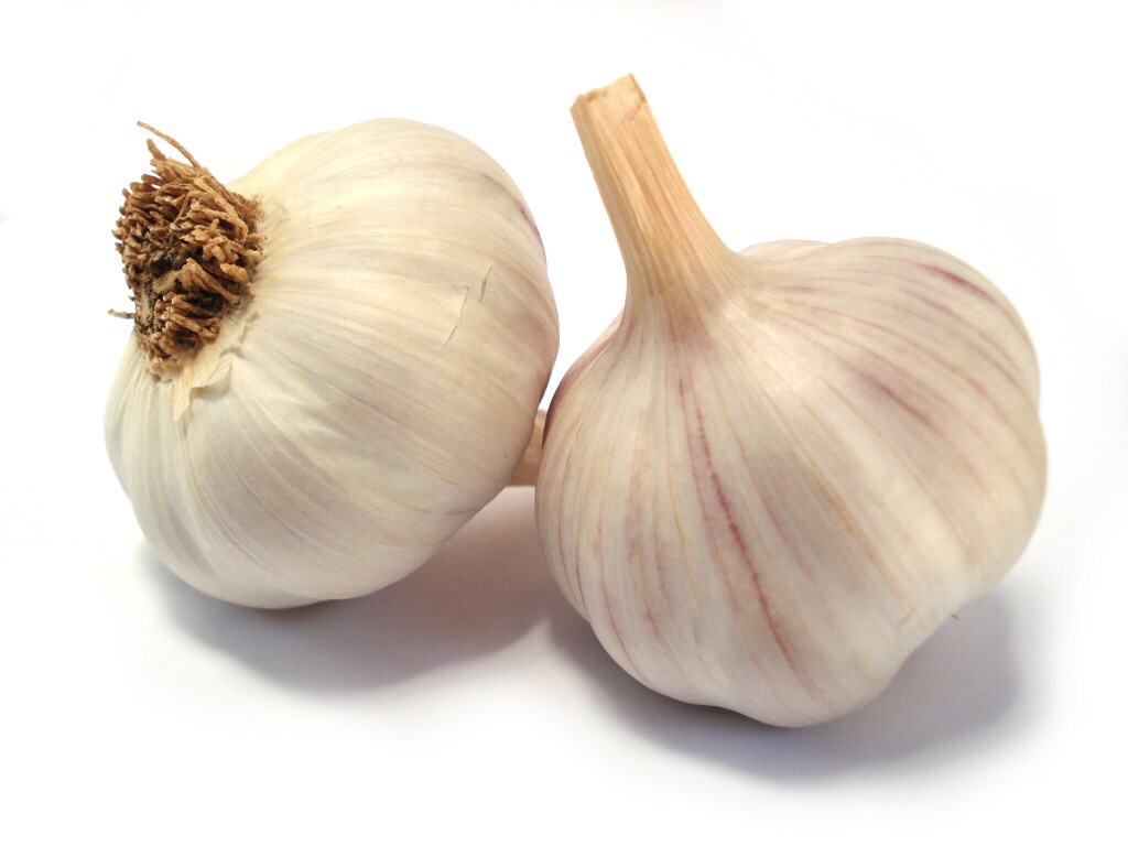 Knoflook plantlook Flavor 500g