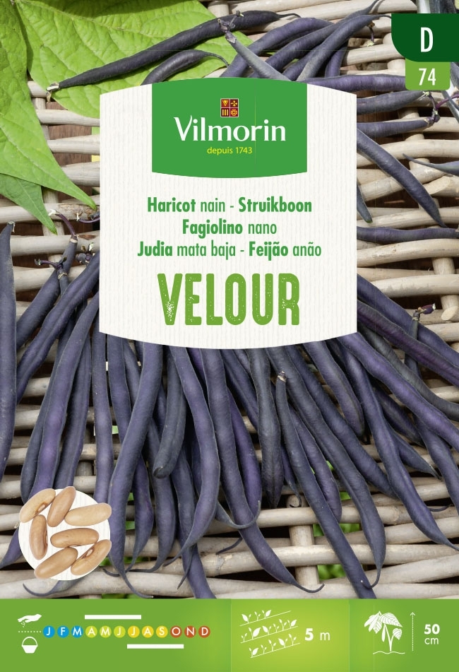 Vilmorin Zaden Struikboon Velour