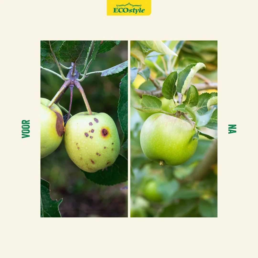 Aaltjes FC tegen larven fruitmot 10 mln/60 m² 🍎🐛