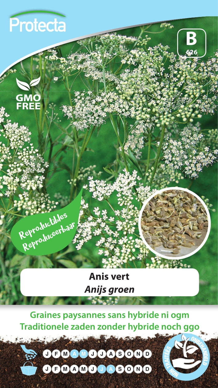 Zaadvaste anijs zaden groen