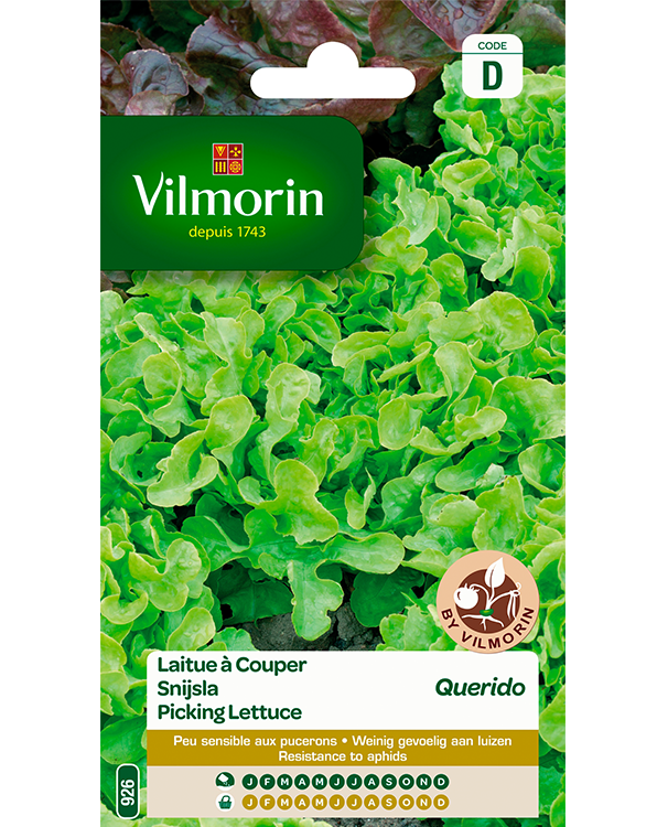 Vilmorin Snijsla zaden Querido 2g