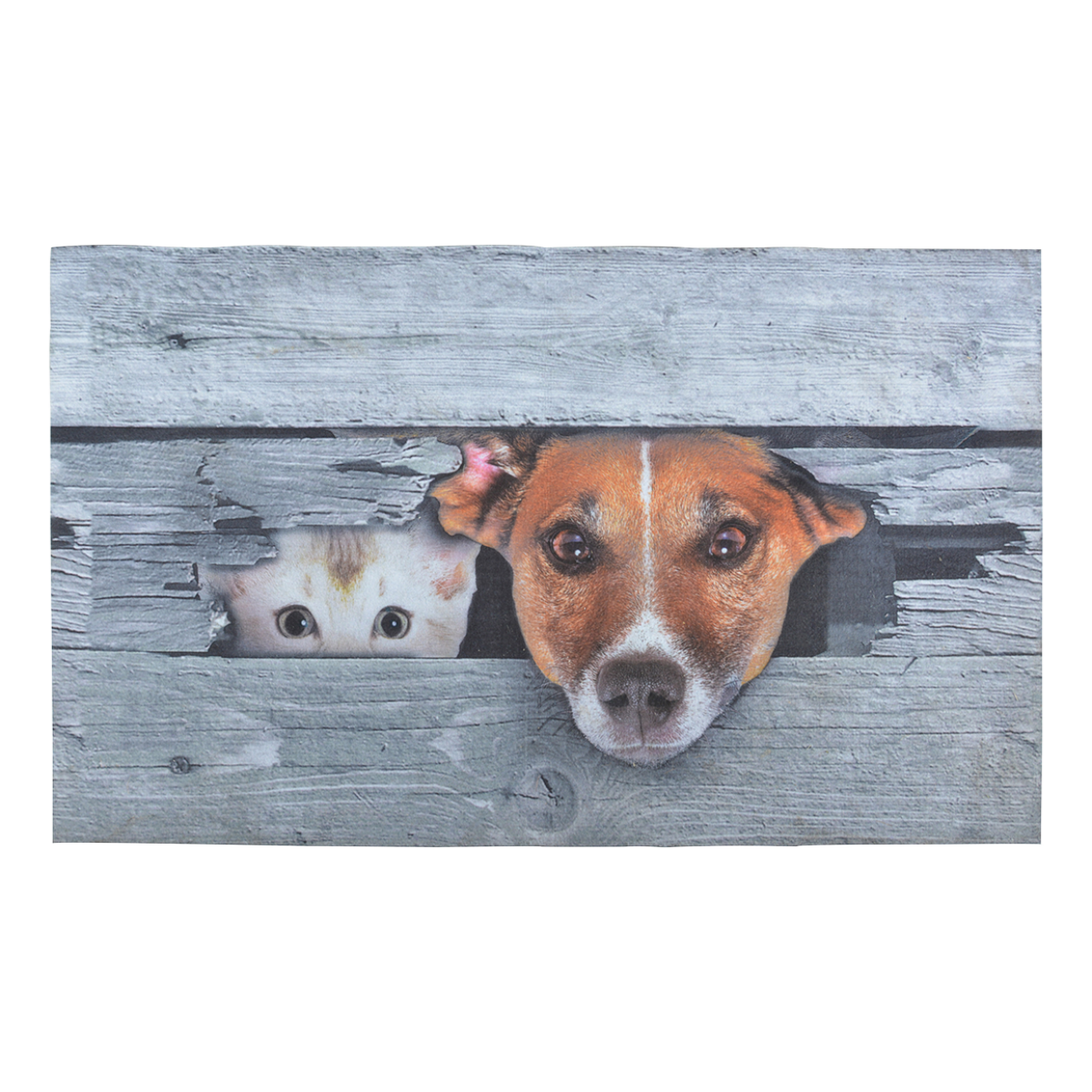 Een rechthoekige deurmat met een speelse print van een hond en een kat die zich verstoppen achter houten planken.