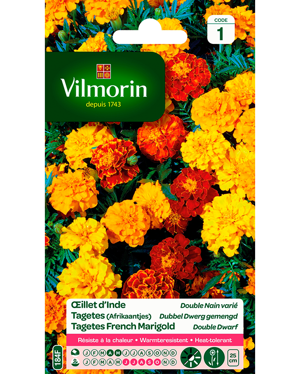 Bloemzaden Tagetes afrikaantjes Dubbele dwerg Gemengd