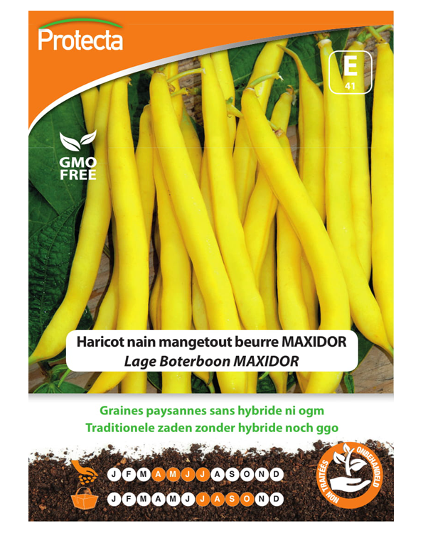 Zaadvaste Boterboon Zaden Lage Maxidor
