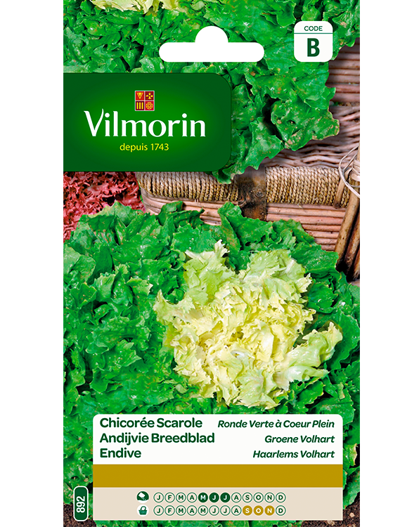Vilmorin Andijvie zaden Breedblad Groene Volhart 4g