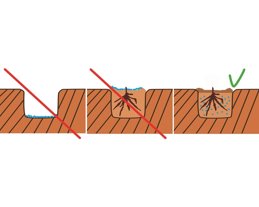TerraCottem Arbor Bodemverbeteraar bomen en heesters 10 kg