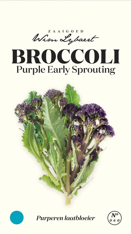 Wim Lybaert broccoli zaden: Purple Early Sprouting - Paarse broccoli met kleine, eetbare roosjes voor een winteroogst.