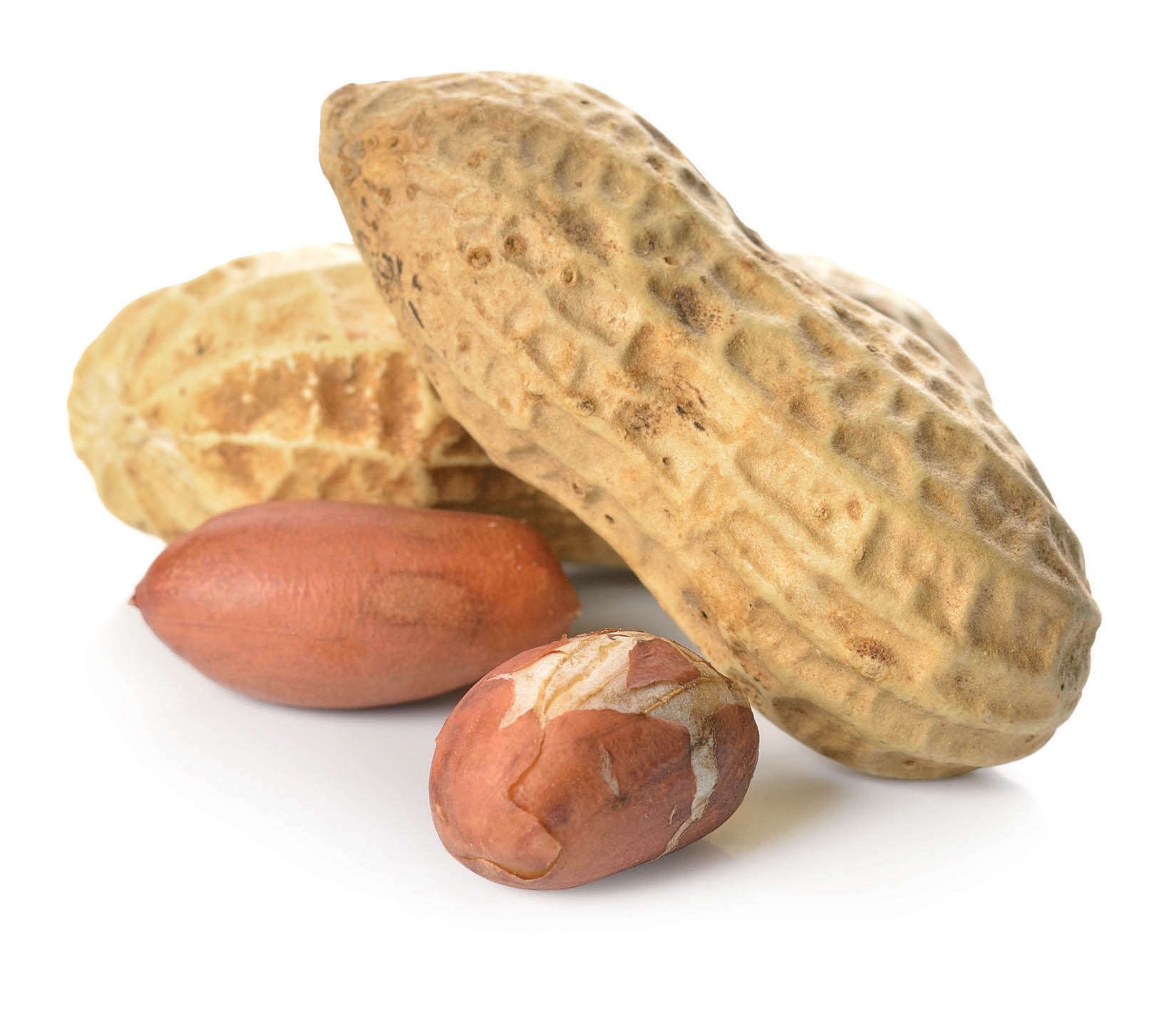 Pindaplant Arachide 50 gr