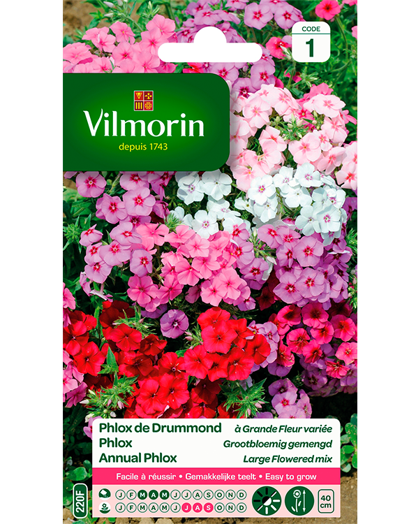 Bloemzaden Phlox Grootbloemige 0,8g