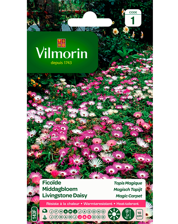 Bloemzaden Middagbloem Magisch Tapijt 1g