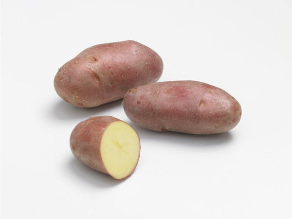 Franceline pootaardappelen 1kg Franceline pootaardappelen 1kg