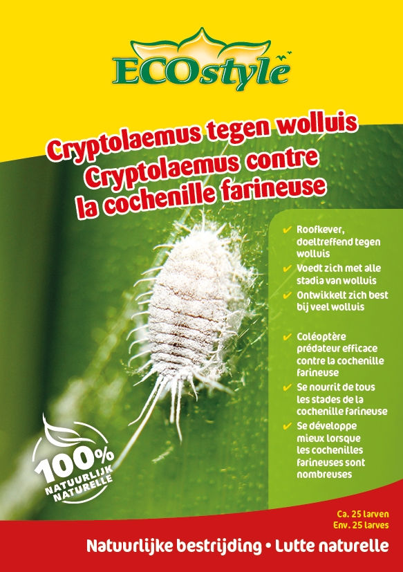 Ecostyle Roofkevers tegen wolluis