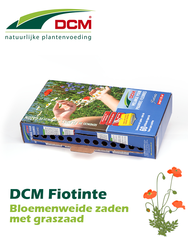 DCM Fiotinte Bloemenweide zaden met graszaad 25m²