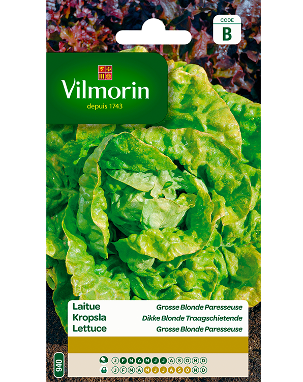 Vilmorin Kropsla zaden Dikke Blonde Traagschietende 4g