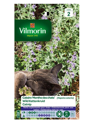 Kattenkruid zaden Nepeta cataria 8g