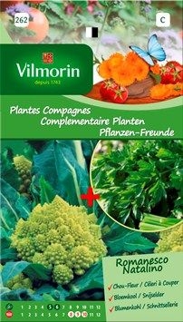 Vilmorin Zaden Bloemkool romanesco + snijselder
